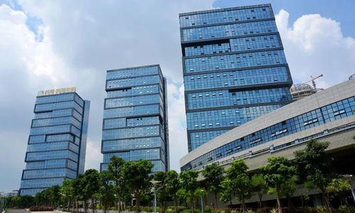 南寧經(jīng)開區(qū) 運(yùn)用容錯(cuò)糾錯(cuò)機(jī)制激勵(lì)干部擔(dān)當(dāng)作為