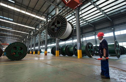 金龍電纜斥資2億元建智能車間 提升生產效能與產品質量